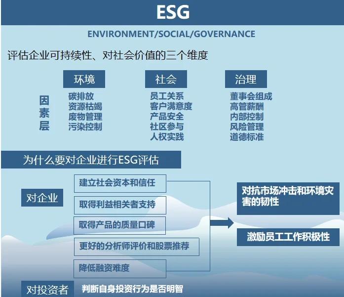 双碳战略咨询服务(双碳战略是什么意思)绥化市